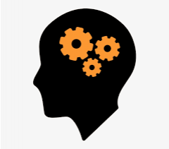 Education & Skills